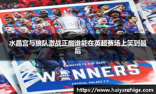 水晶宫与狼队激战正酣谁能在英超赛场上笑到最后