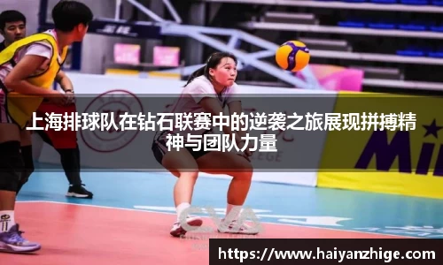 乐竞体育平台